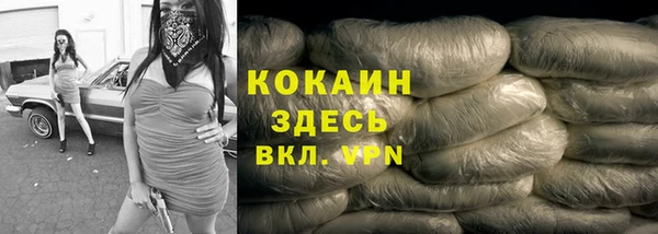 трава Богородицк