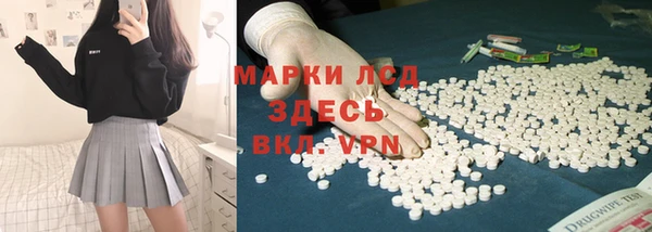гашиш Богданович