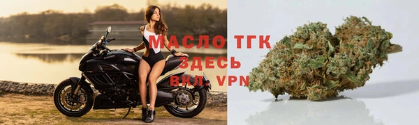 гашиш Богданович