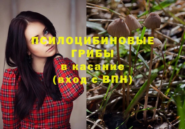 гашиш Богданович