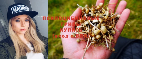 трава Богородицк