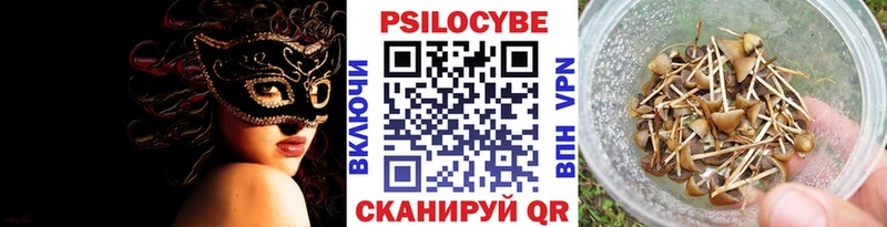 где продают наркотики  Армавир  Галлюциногенные грибы Cubensis 